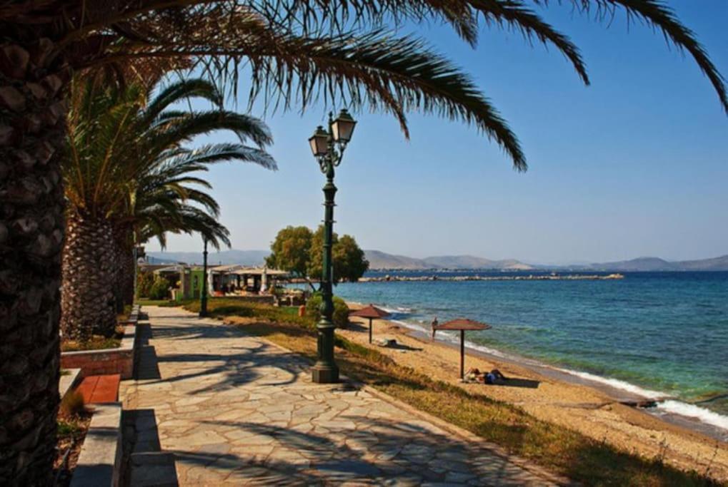 The White House Beach Villa Rafína Екстериор снимка